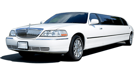 Dodge White Stretch